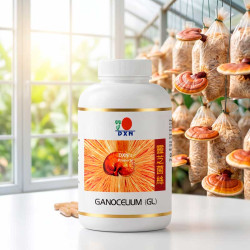 Cápsula GL 360 - Ganoderma...