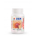 Ganoderma en Polvo GL